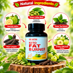 Vediva Keto Fat Burner