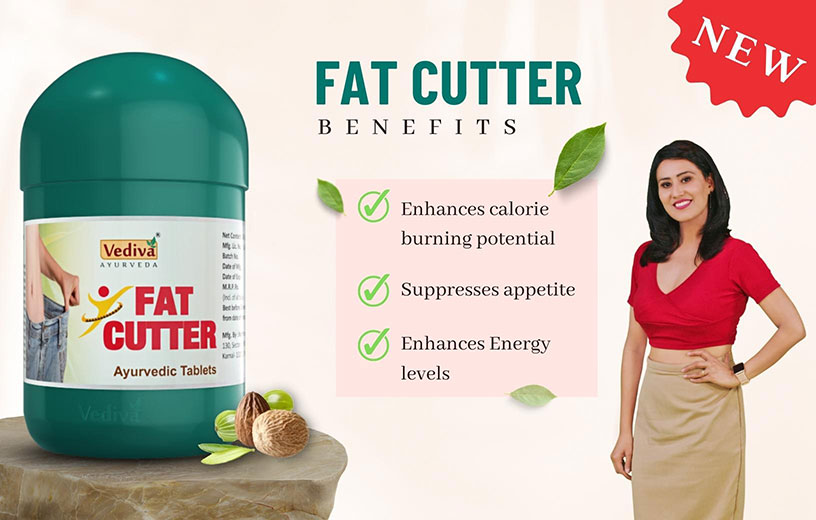 fat-cutter-banner