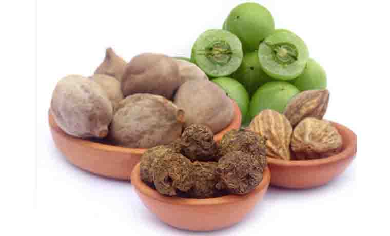 Fat Cutter Ingredient Triphala Extract